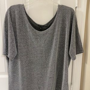 Silver glitter top